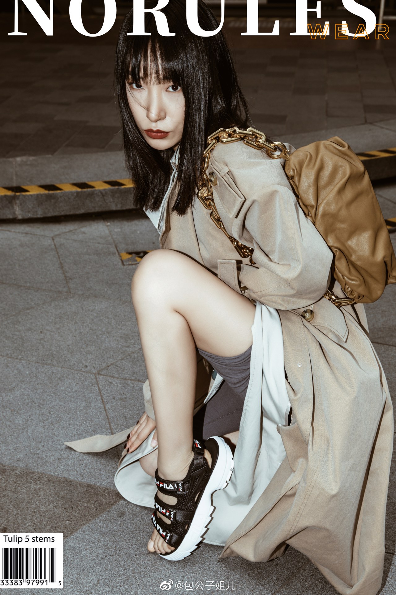 Bottega Veneta 𝙏𝙃𝙀 𝘾𝙃𝘼𝙄𝙉 𝙋𝙊𝙐𝘾𝙃 31CM BAG 620230焦糖色/金链