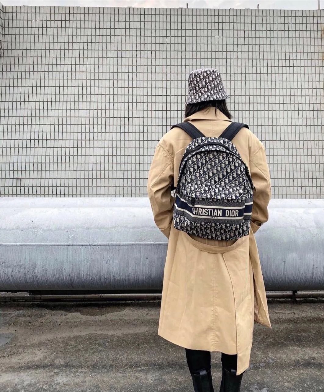 dior backpack