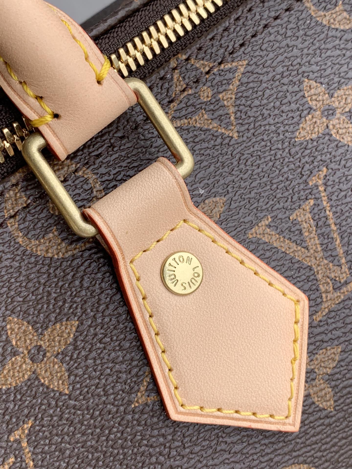 Louis Vuitton LV Speedy 25 手提包 M41113