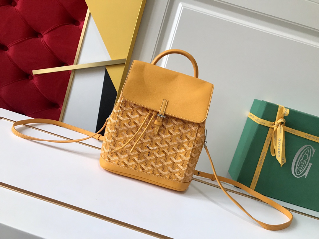 고야드 가방 77760 Goyard Bag