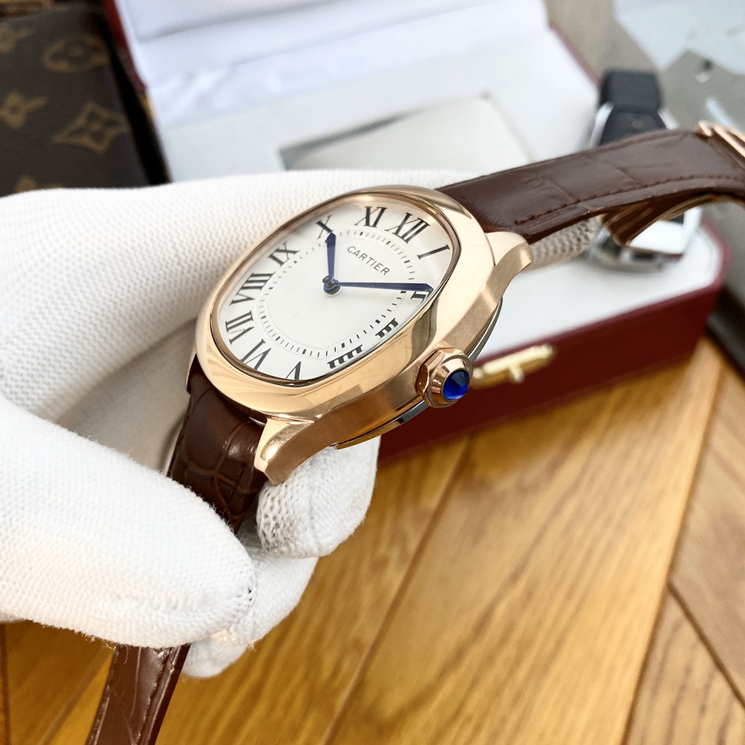Cartler 男性用自動機械腕時計 316精鋼製 42mm