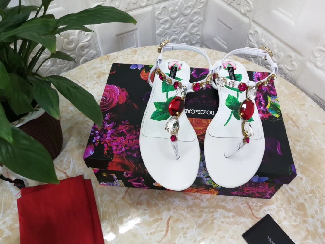 新款dg杜嘉班纳DOLCE&GABB