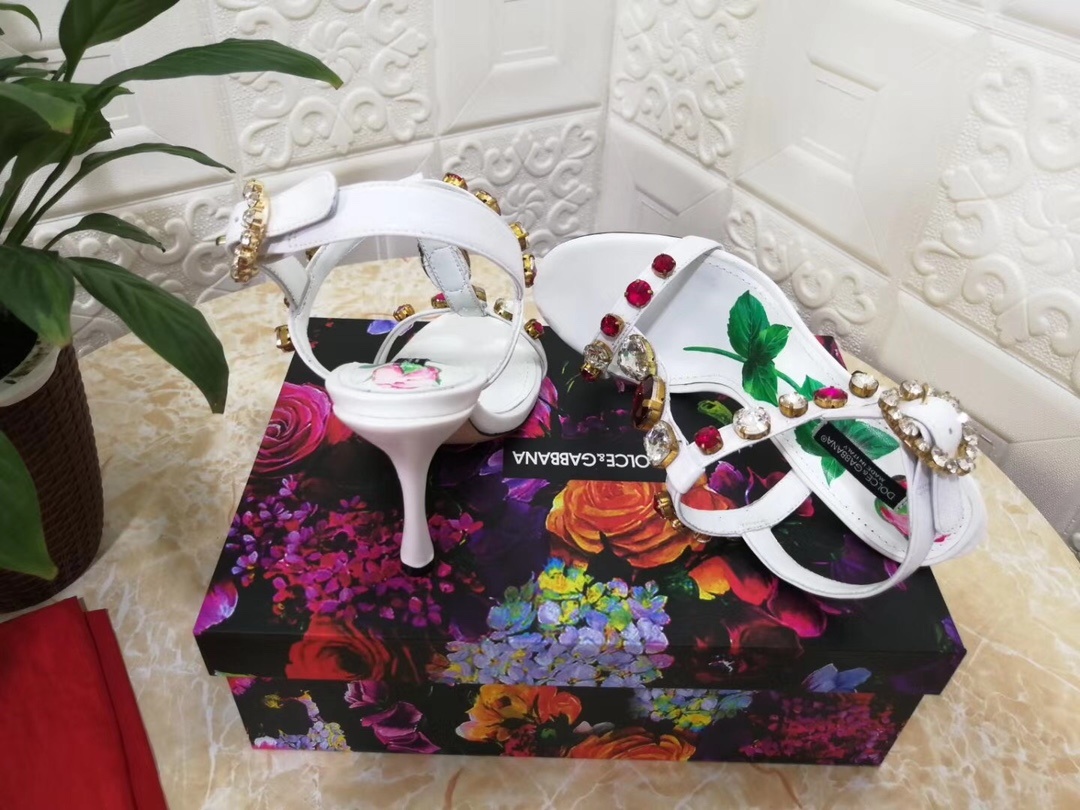 新款dg杜嘉班纳DOLCE&GABB