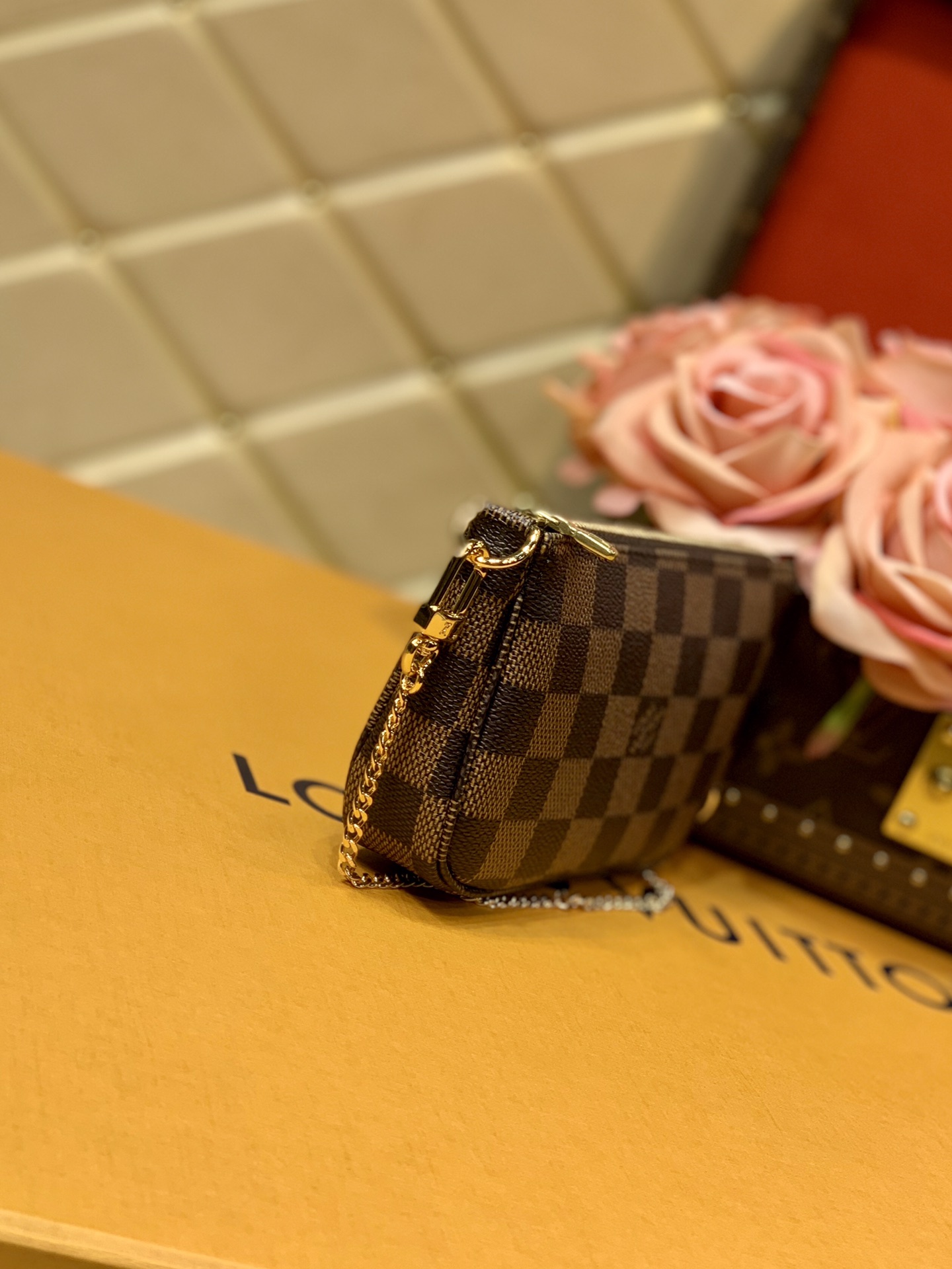 Louis Vuitton LV Mini Pochette Accessoires N58009咖啡格