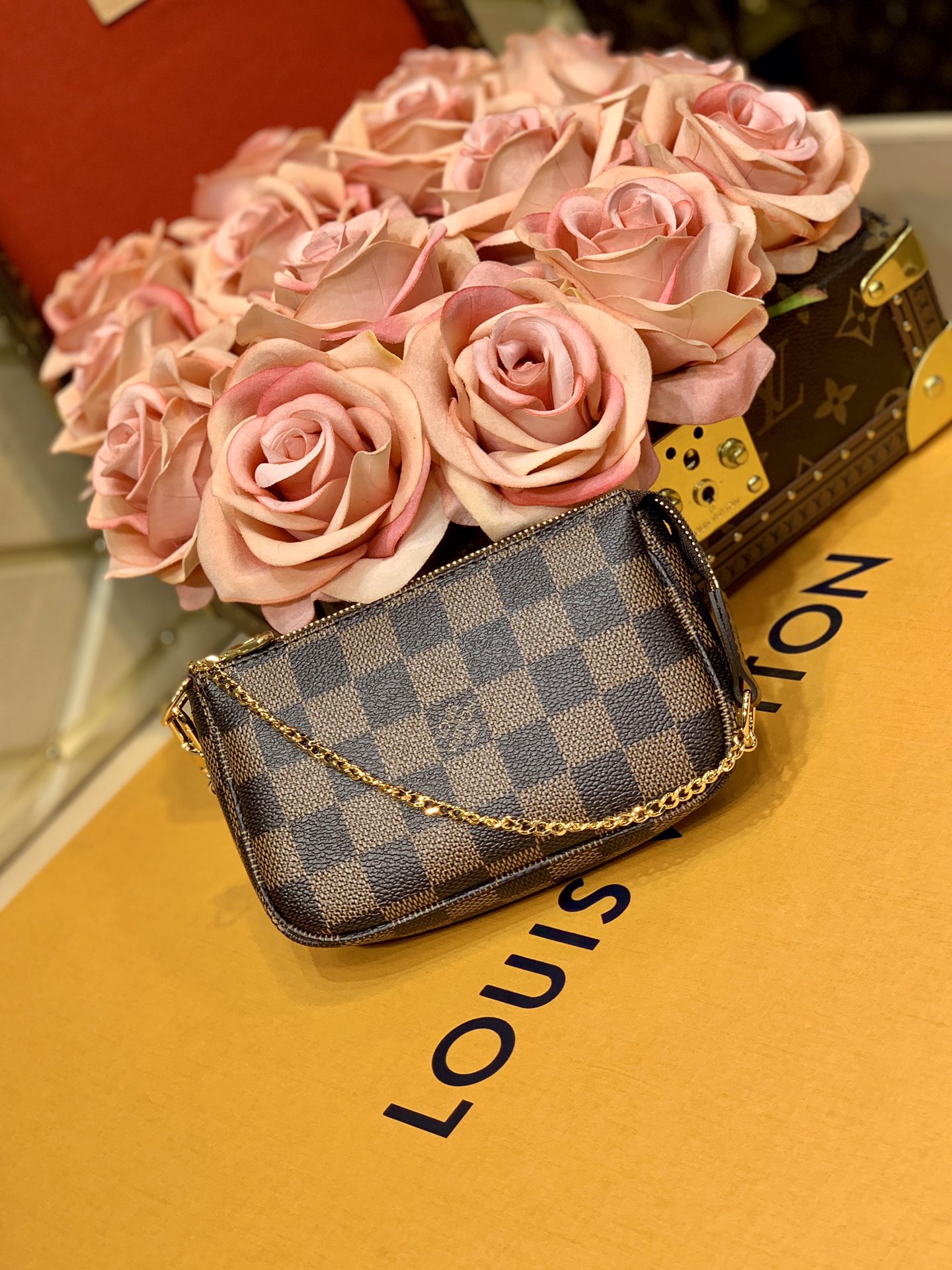 Louis Vuitton LV Mini Pochette Accessoires N58009