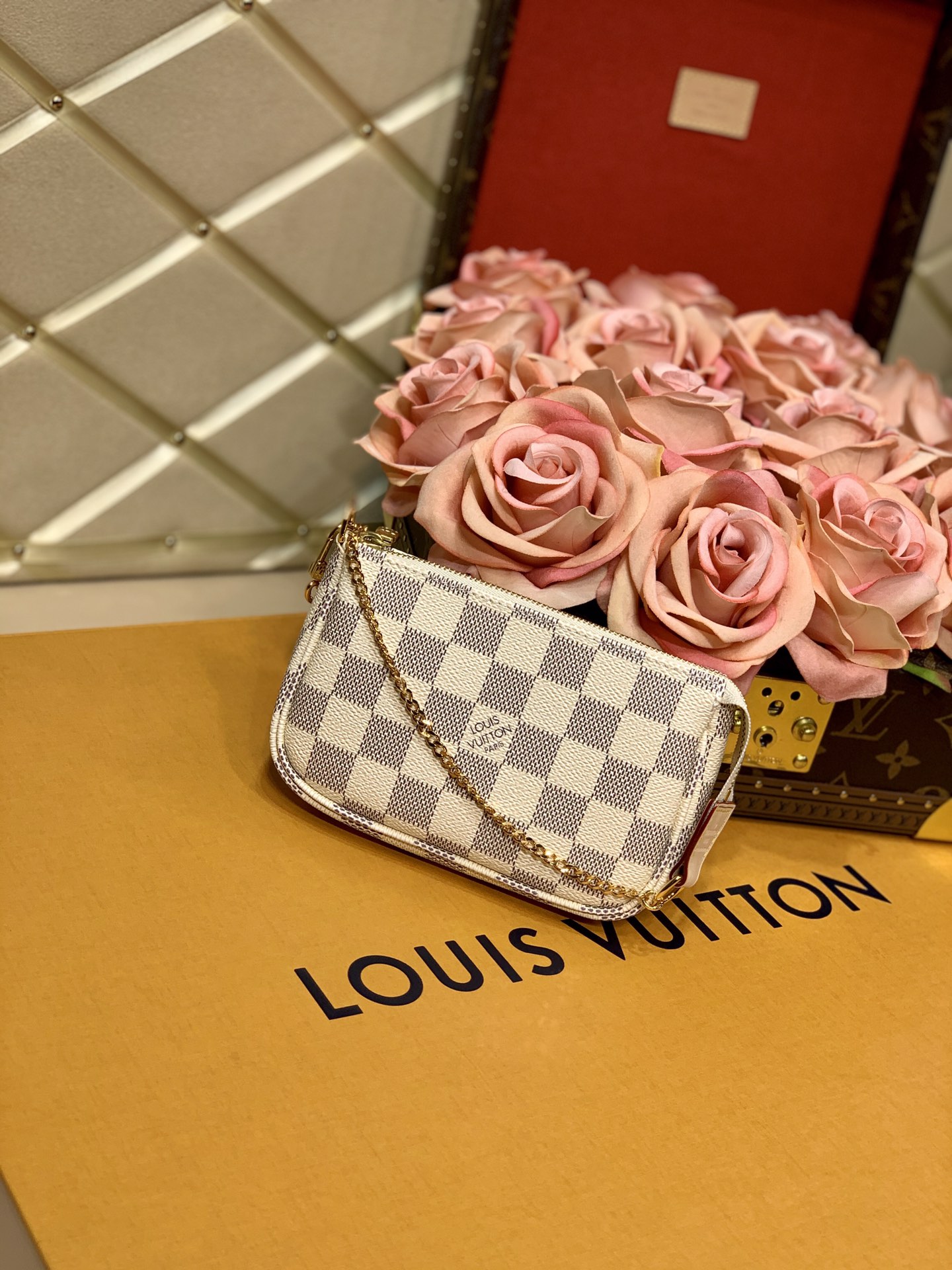 Louis Vuitton LV Mini Pochette Accessoires N58010白格