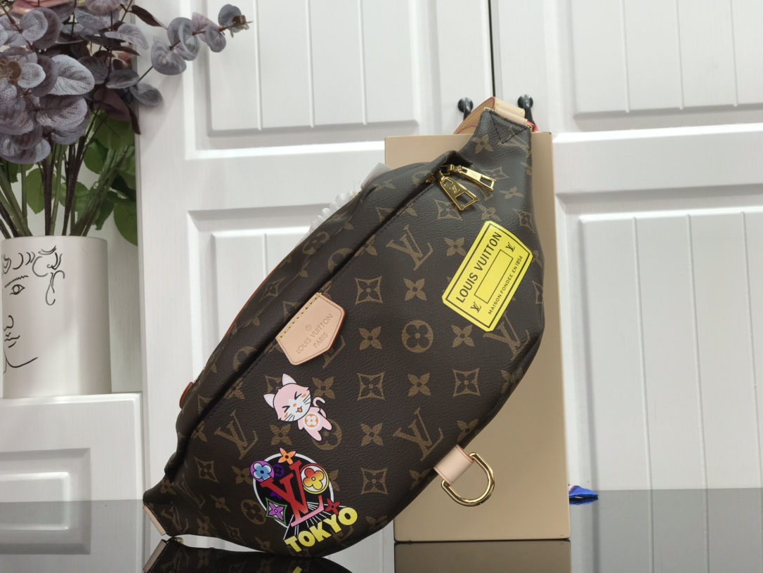 Louis Vuitton LV Discovery Belt Bags & Fanny Packs Calfskin Cowhide Vintage Casual M43644