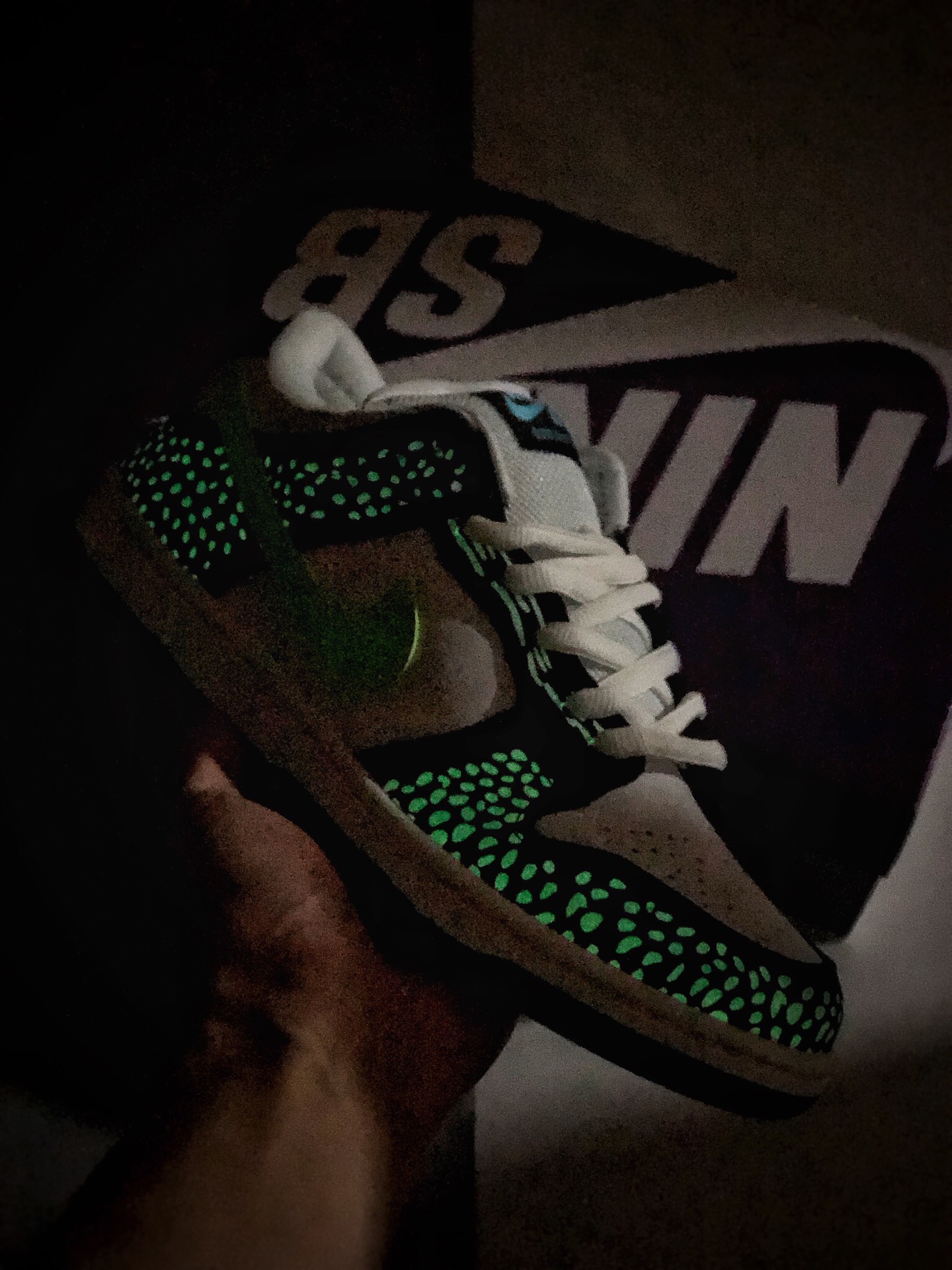 280  新品首发 耐克 Nike SB Dunk Low Loon 斑点黑绿 扣篮系列复古低帮休闲运动滑板板鞋313170-011