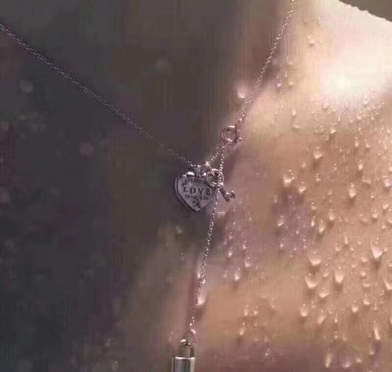 Tiffany & Co. Tiff*ny&Co. 心锁 纯银 锁骨项链