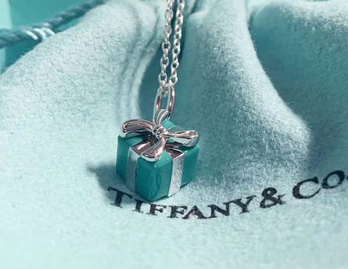 Tiffany & Co. Tiff*ny&Co.蓝色礼物盒 纯银锁骨项链