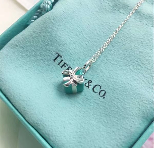 Tiffany & Co. Tiff*ny&Co.蓝色礼物盒 纯银锁骨项链