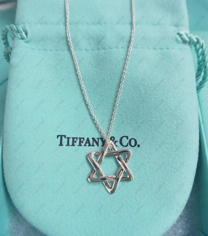 Tiffany & Co. Tiff*ny&Co. 六芒星 纯银 锁骨项链