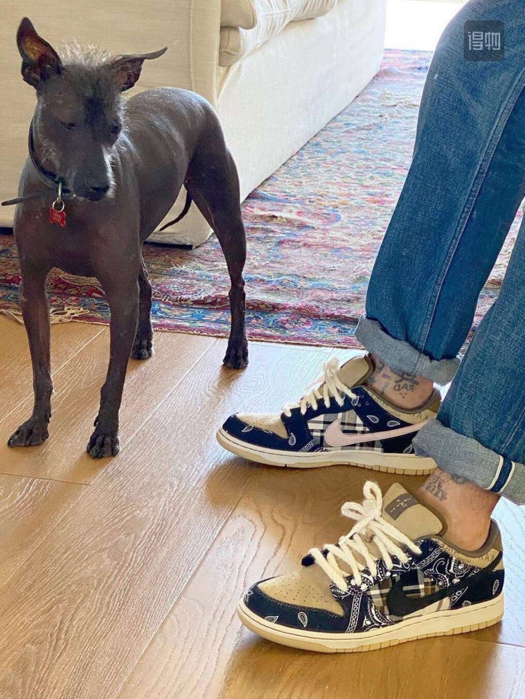 360 Travis Scott × SB Dunk Low 腰果花 原装鞋盒包装 CT5053-001