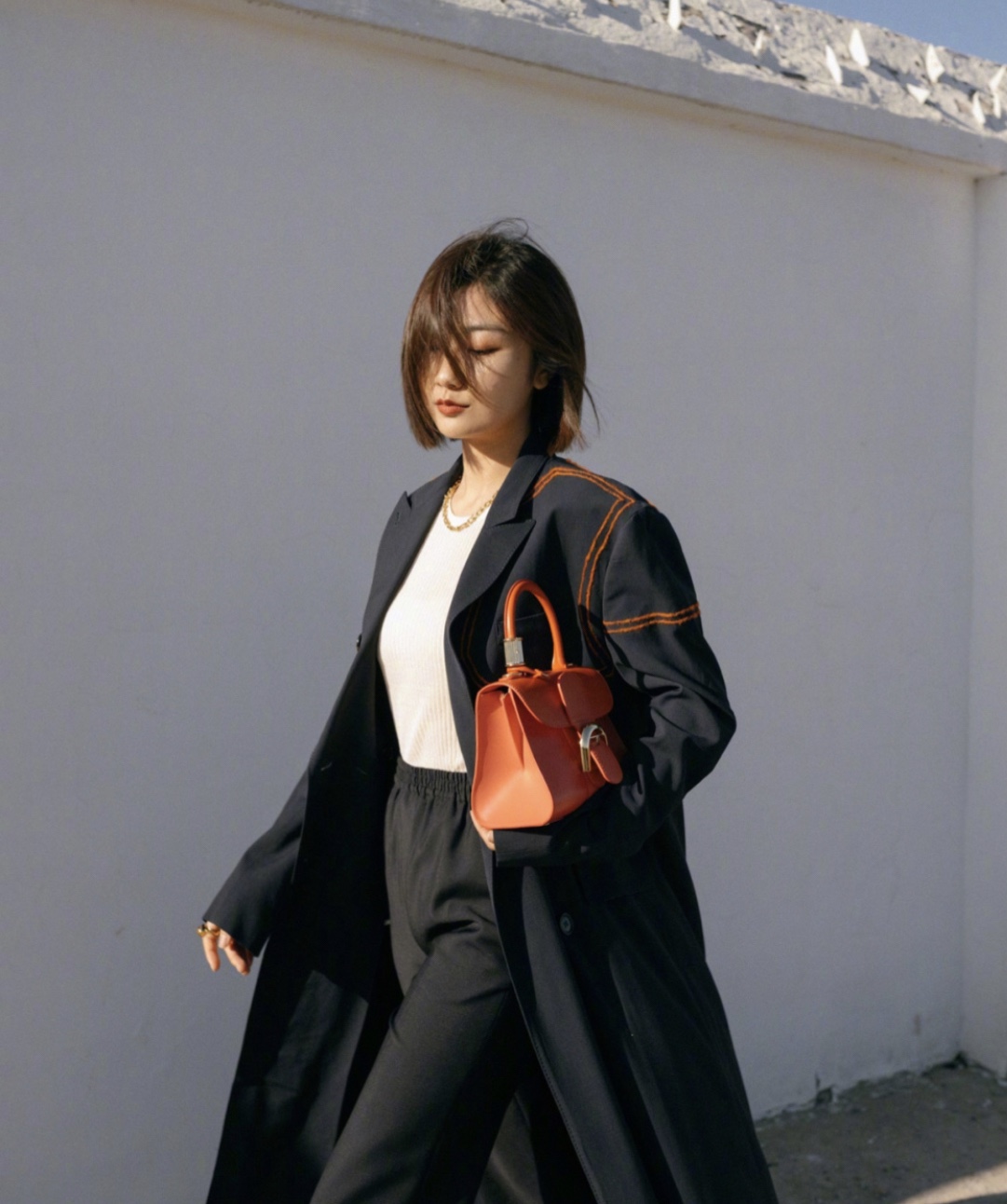 [Delvaux Women
