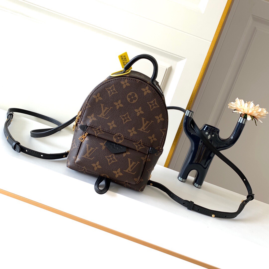 LOUIS VUITTON Palm Springs Mini Monogram - Women - Handbags