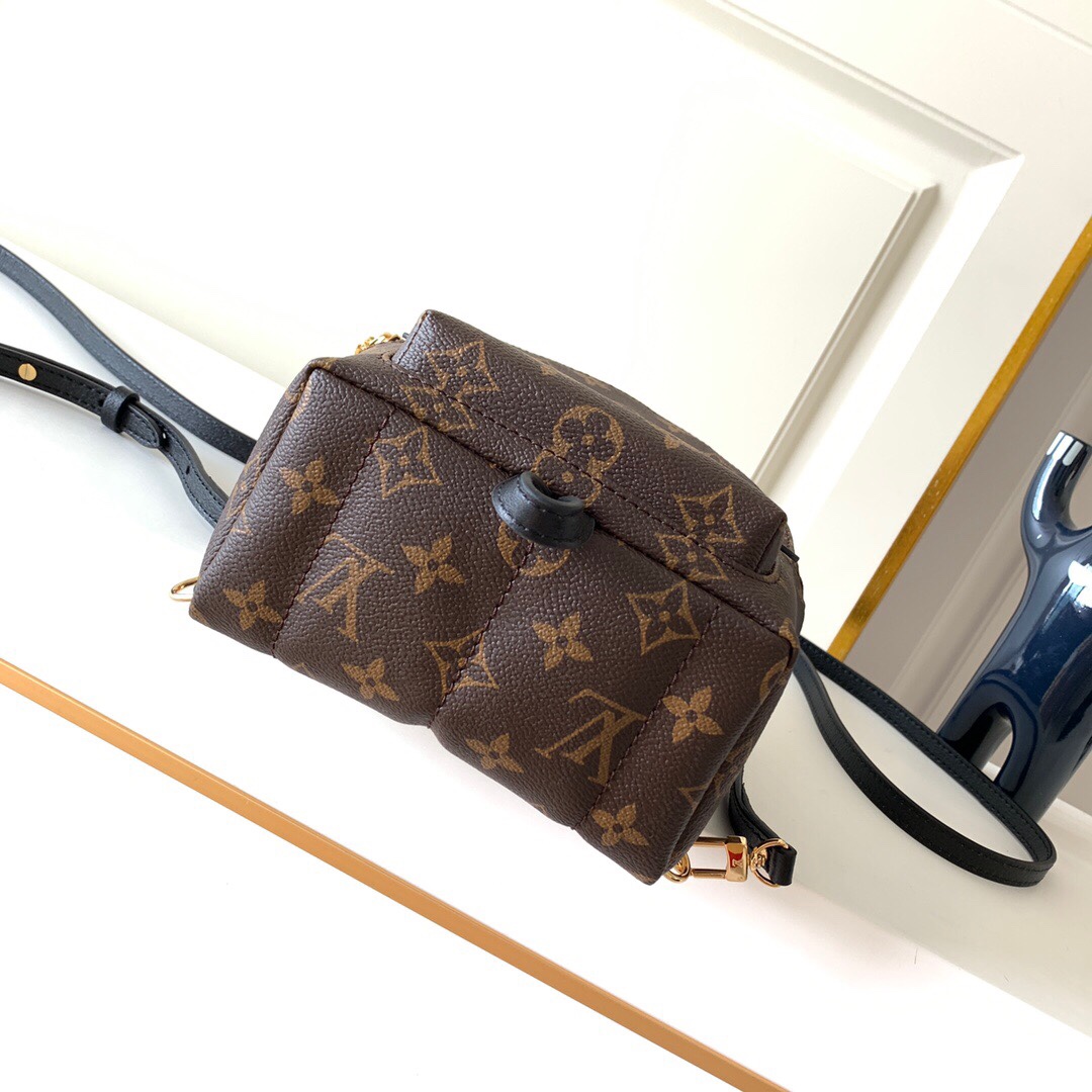 LOUIS VUITTON Palm Springs Mini Monogram - Women - Handbags