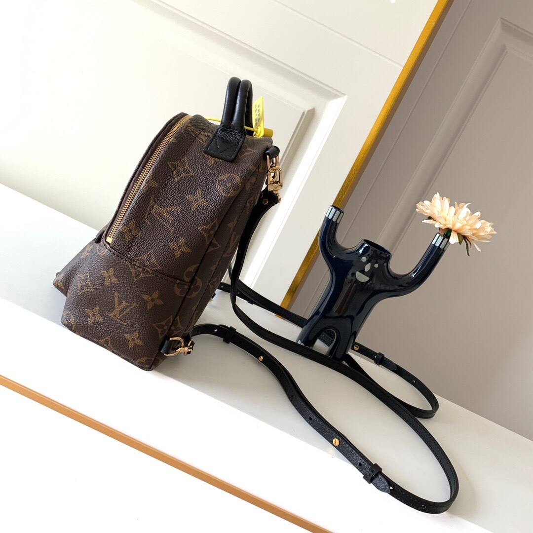 LOUIS VUITTON Palm Springs Mini Monogram - Women - Handbags