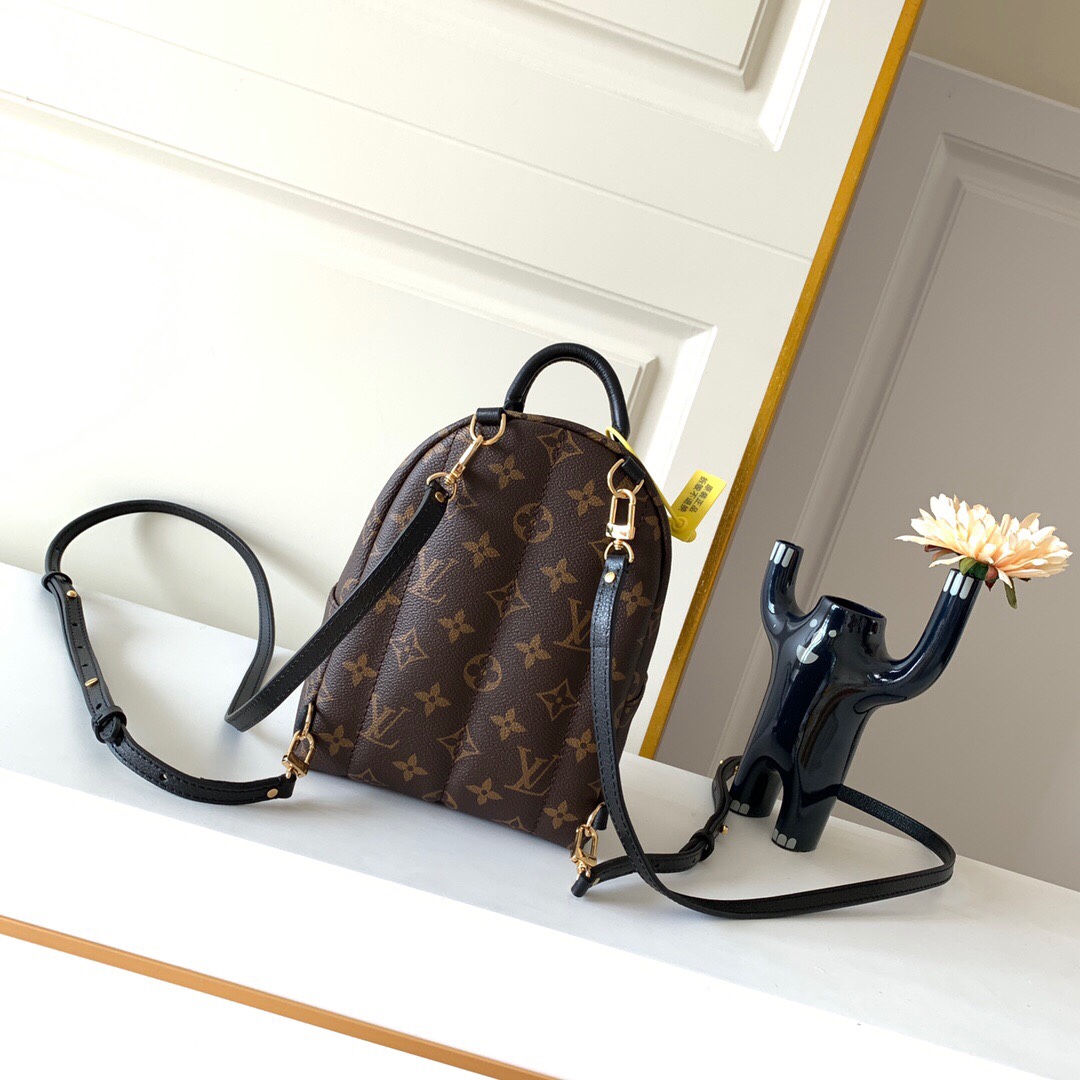 LOUIS VUITTON Palm Springs Mini Monogram - Women - Handbags