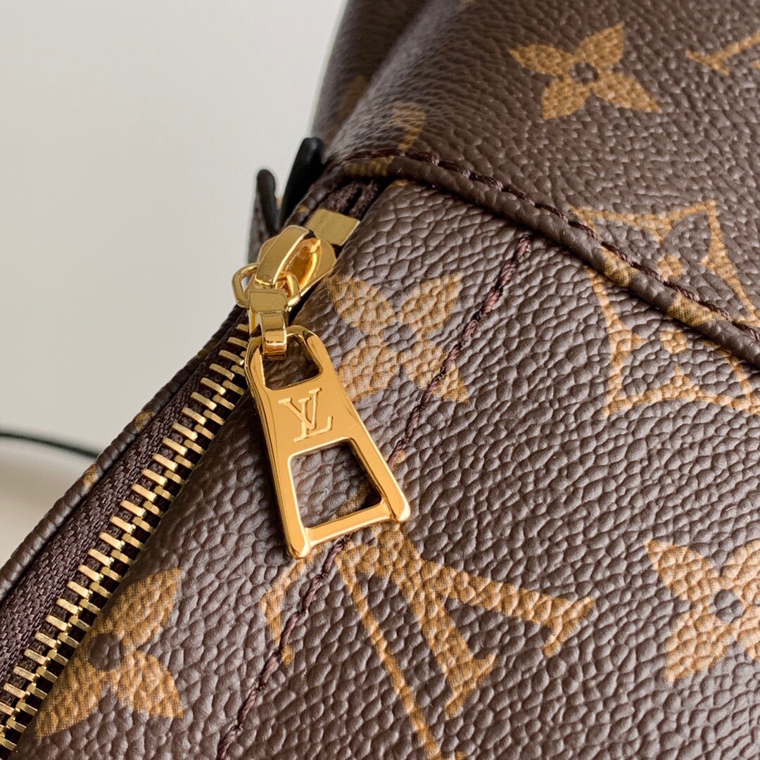 LOUIS VUITTON Palm Springs Mini Monogram - Women - Handbags