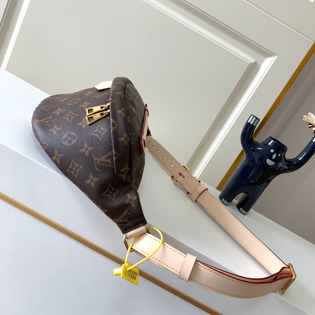 Louis Vuitton | Monogram Bumbag | M43644