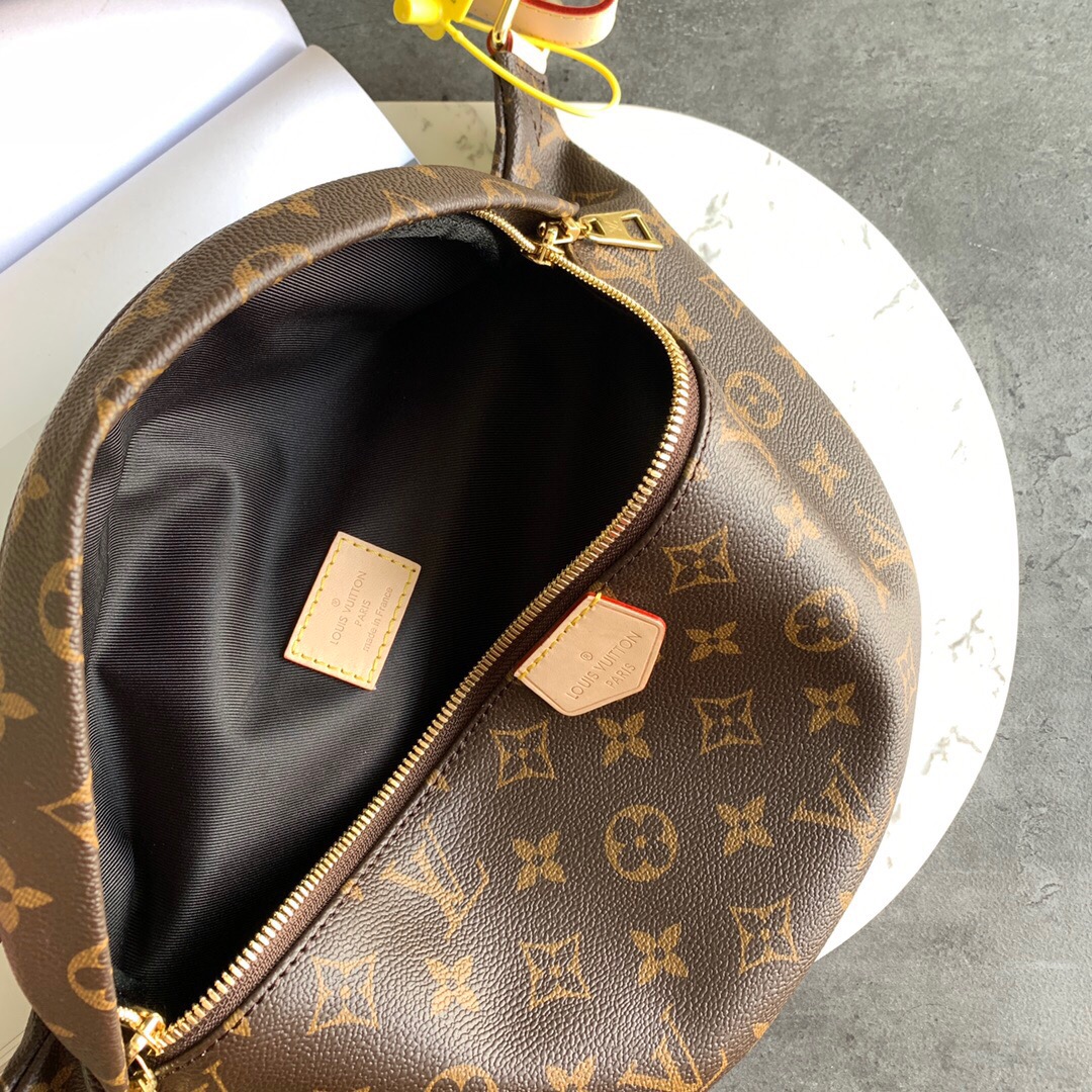 Louis Vuitton | Monogram Bumbag | M43644