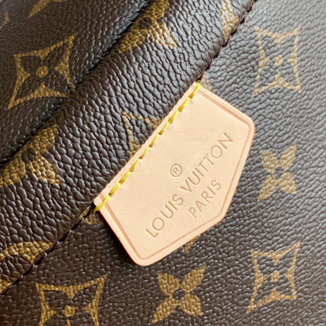 Louis Vuitton | Monogram Bumbag | M43644