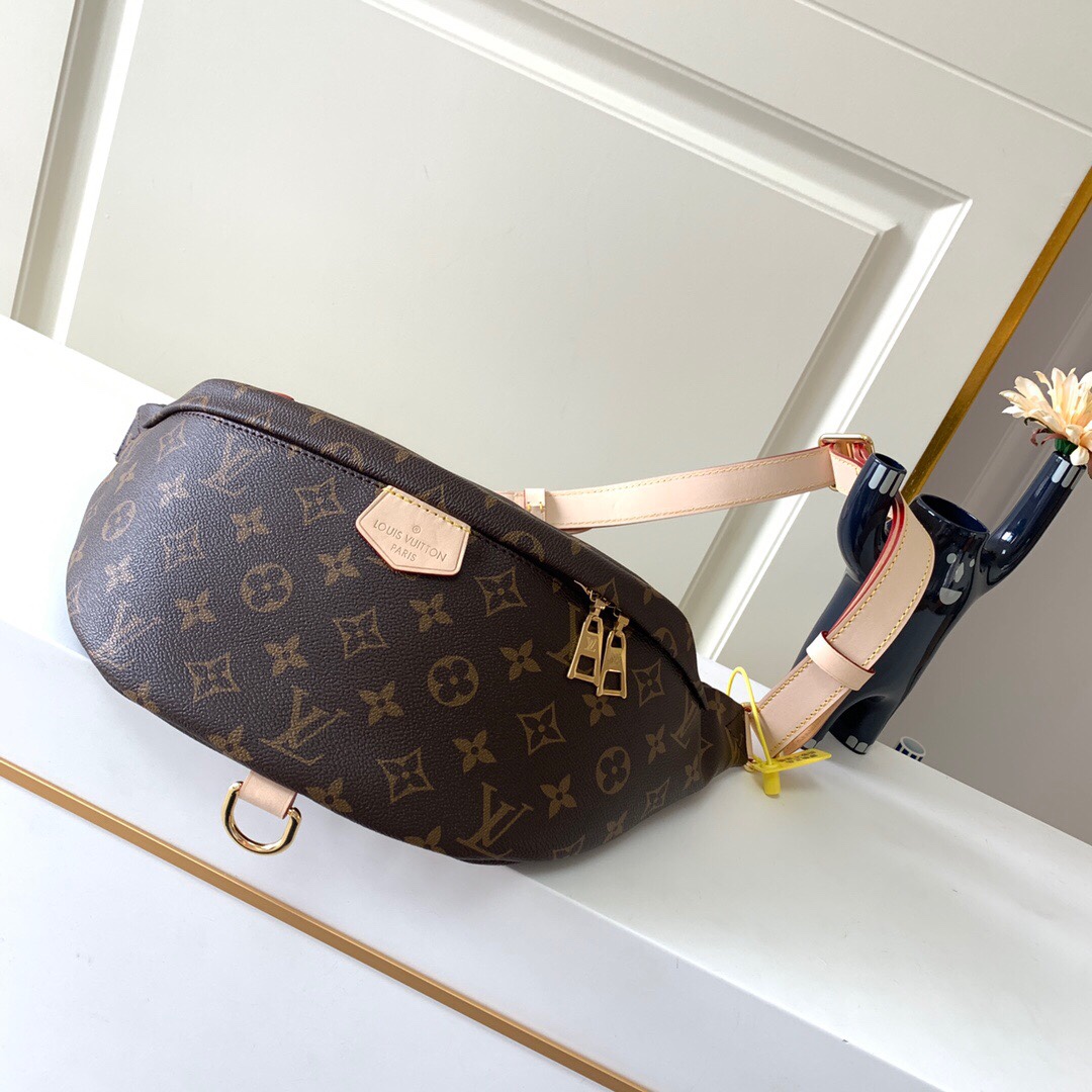 Louis Vuitton | Monogram Bumbag | M43644