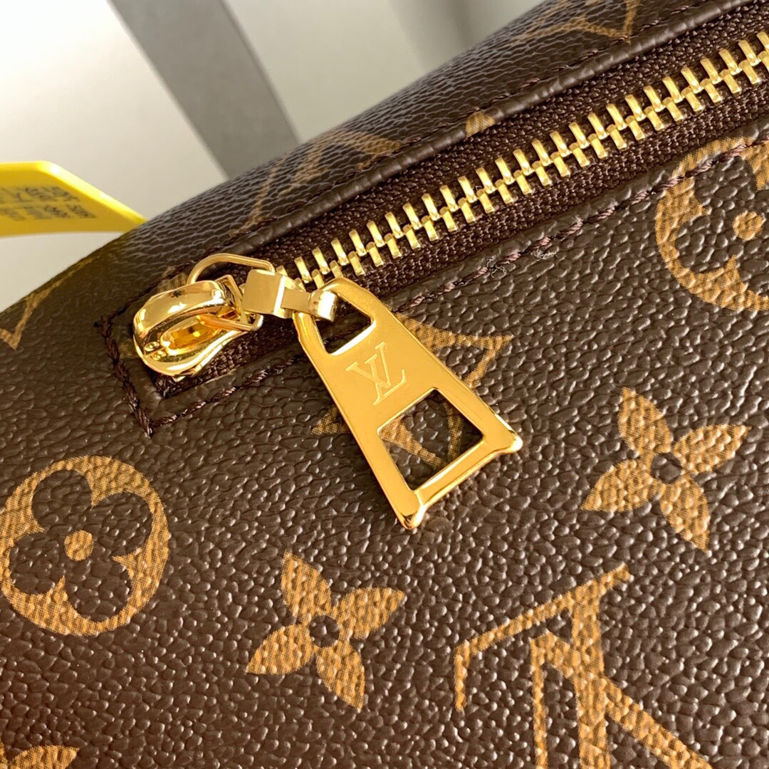 Louis Vuitton | Monogram Bumbag | M43644