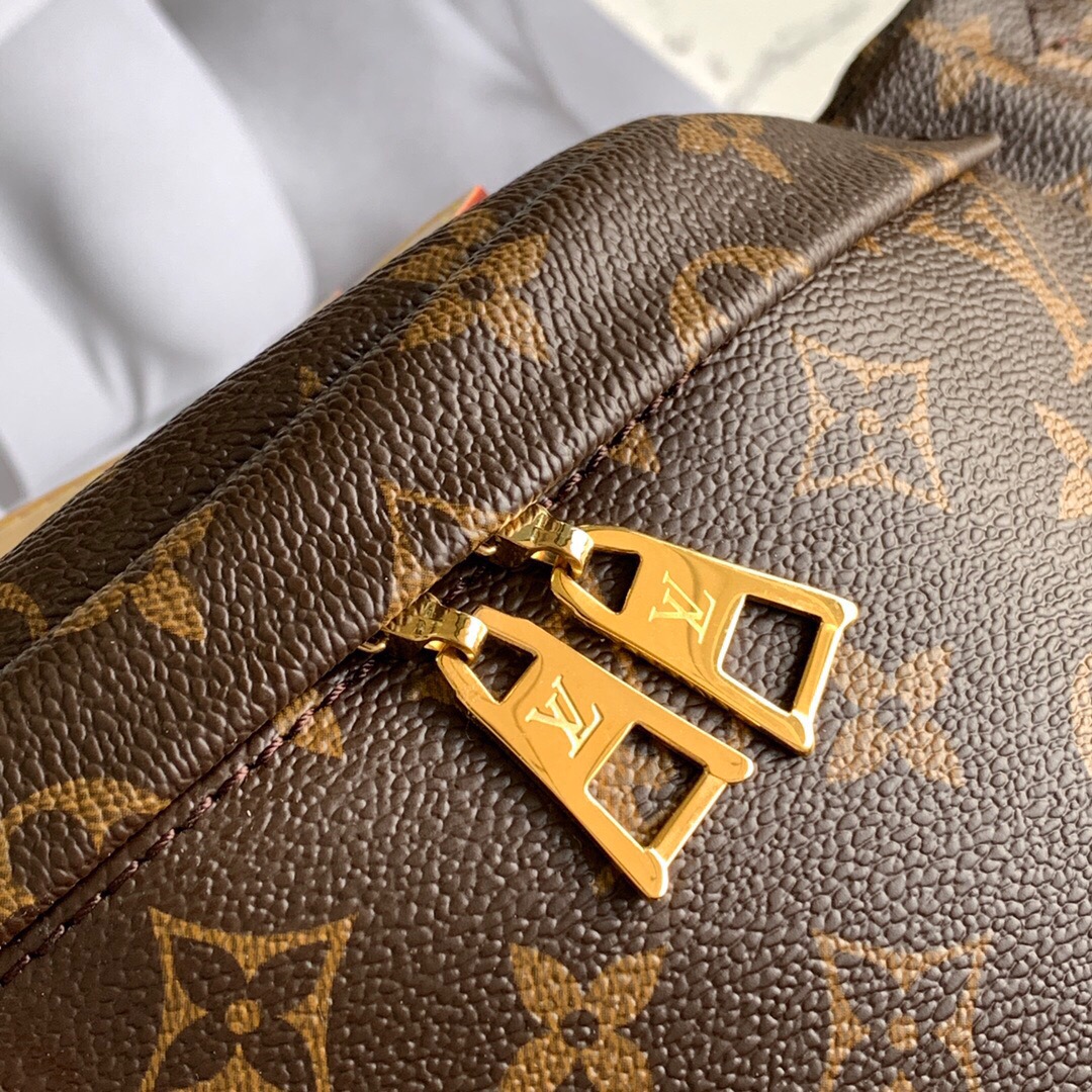 Louis Vuitton | Monogram Bumbag | M43644