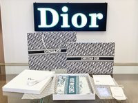 Dior Scarf Printing Cashmere