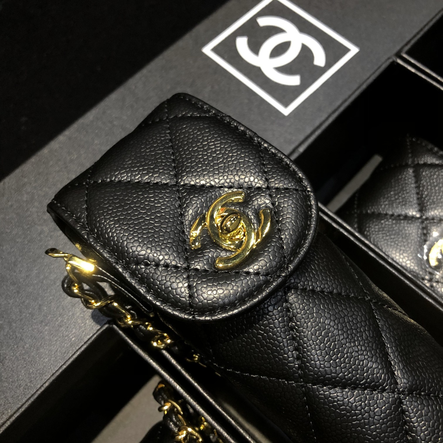 Chanel - Comprehensive 5