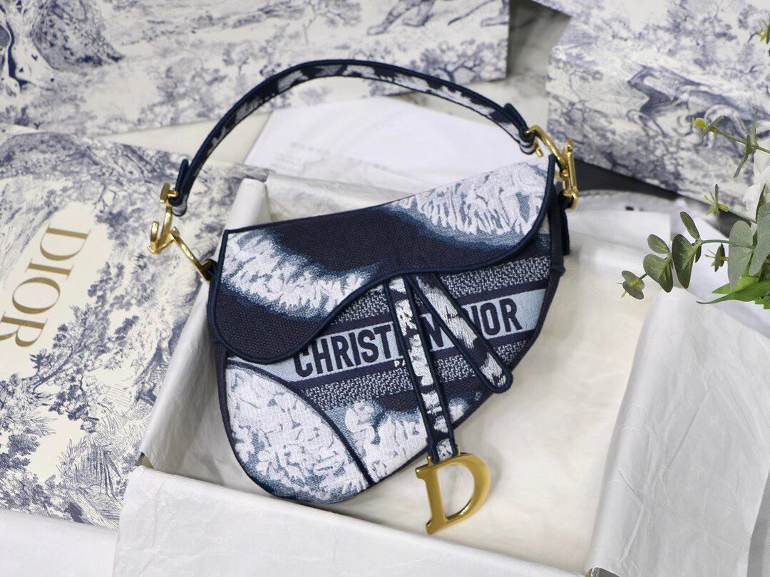Dior Saddle Embroidered Cosmic Totem Saddle Bag