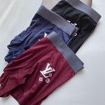 Louis Vuitton Clothing Panties Men Spandex Fashion