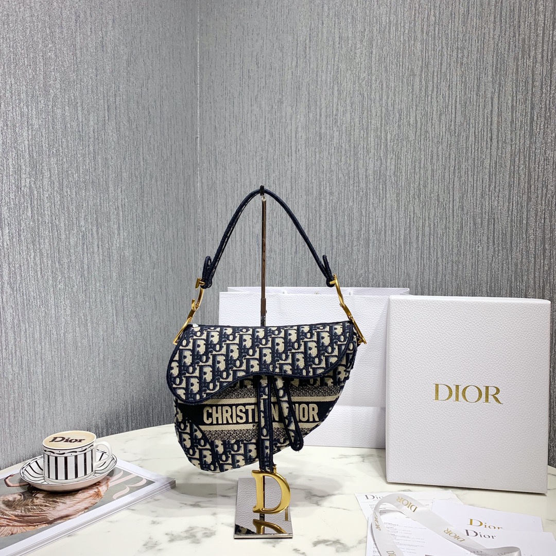 Dior Saddle Handbags Saddle Bags Gold Embroidery Vintage Canvas Oblique