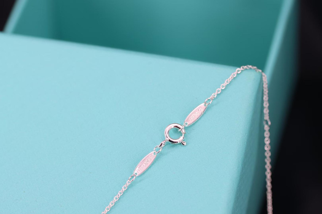 Tiffany & Co. Tiffany&Co. 1837双环扣项链