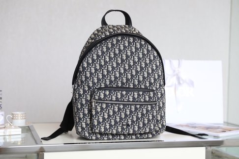 Dior Bags Backpack Printing Unisex Canvas Oblique