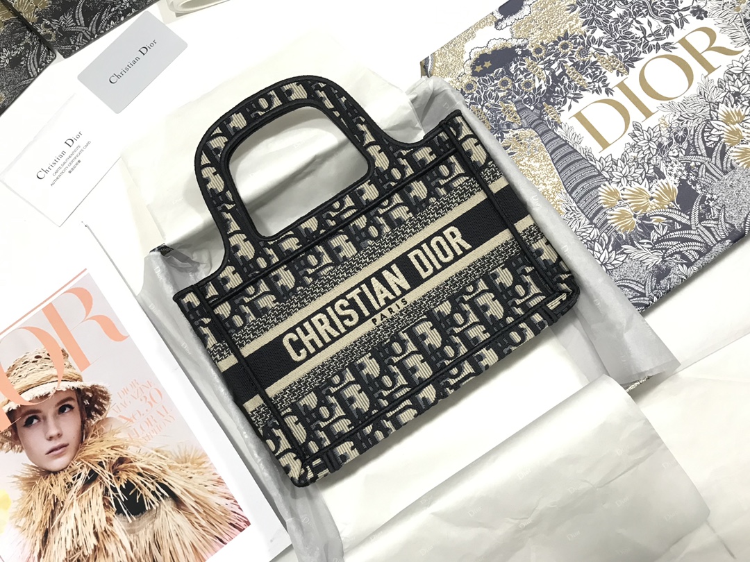 Dior Book Tote Mini Bags Tote Bags Embroidery Canvas Oblique Mini