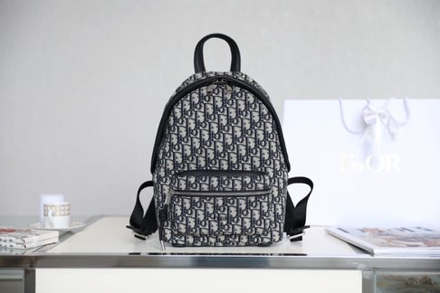 Dior Bags Backpack Oblique