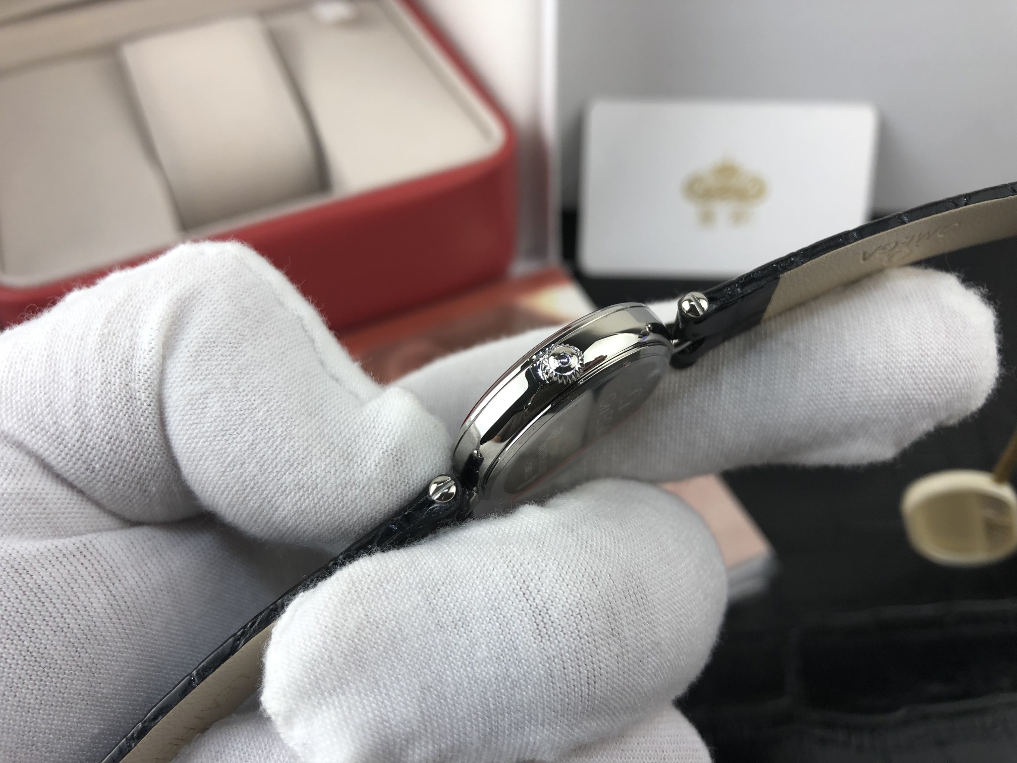 Omega 皇家 欧米茄蝶飞系列女表
