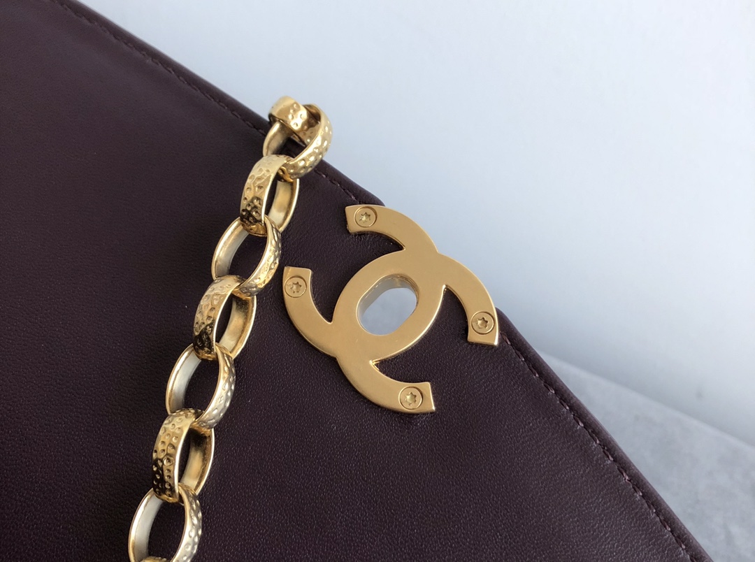 Special Platinum Edition Chanel hot-selling Gold Coin Bag 9