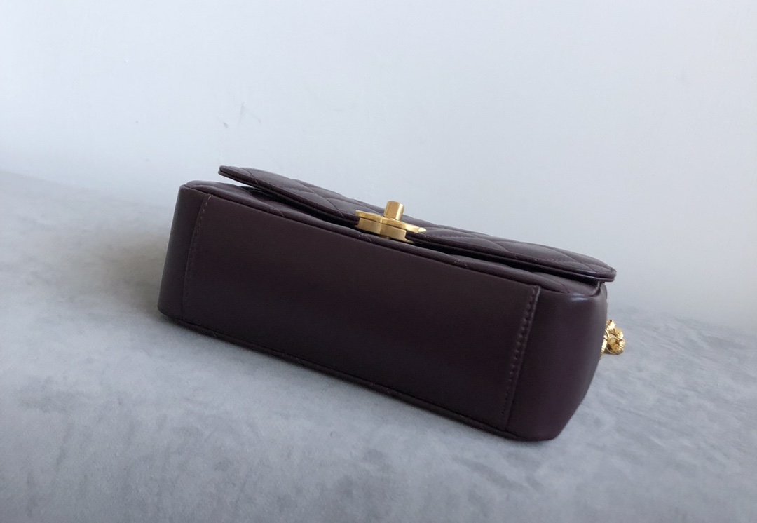 Special Platinum Edition Chanel hot-selling Gold Coin Bag 4