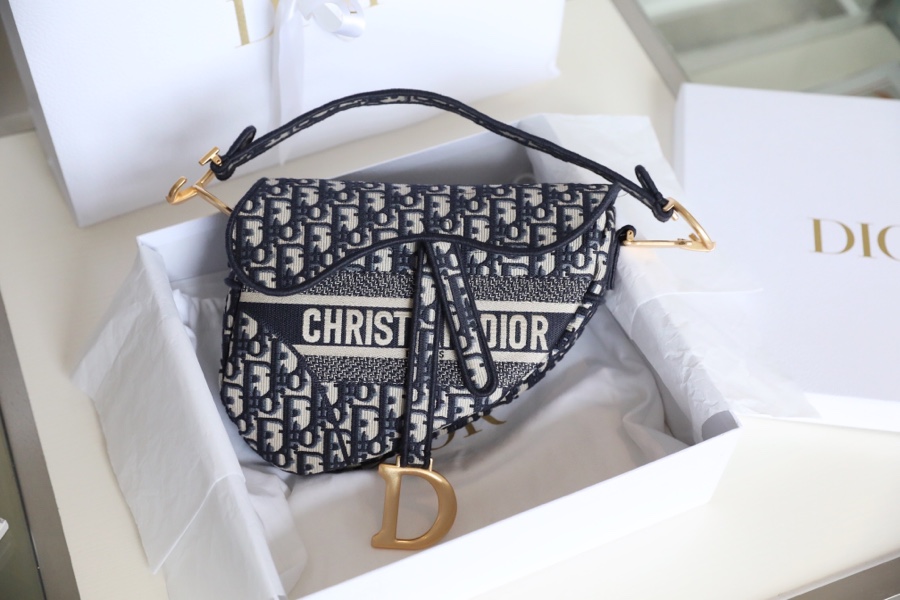 Dior Bags Handbags Blue Gold Embroidery All Copper Oblique