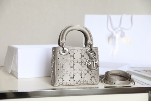 Dior Lady Handbags Crossbody & Shoulder Bags Grey Embroidery Silk Mini