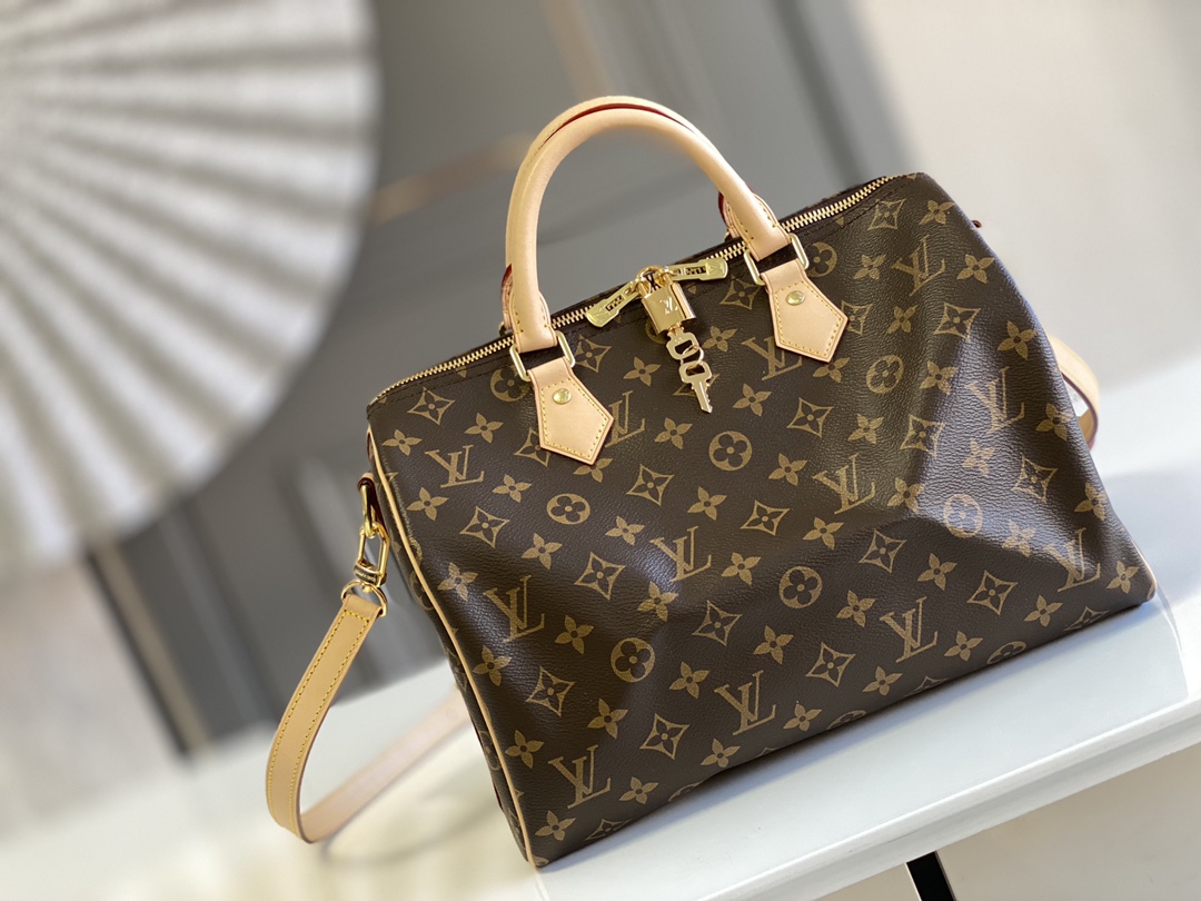 Louis Vuitton LV Speedy Bags Handbags Gold Monogram Canvas Fabric