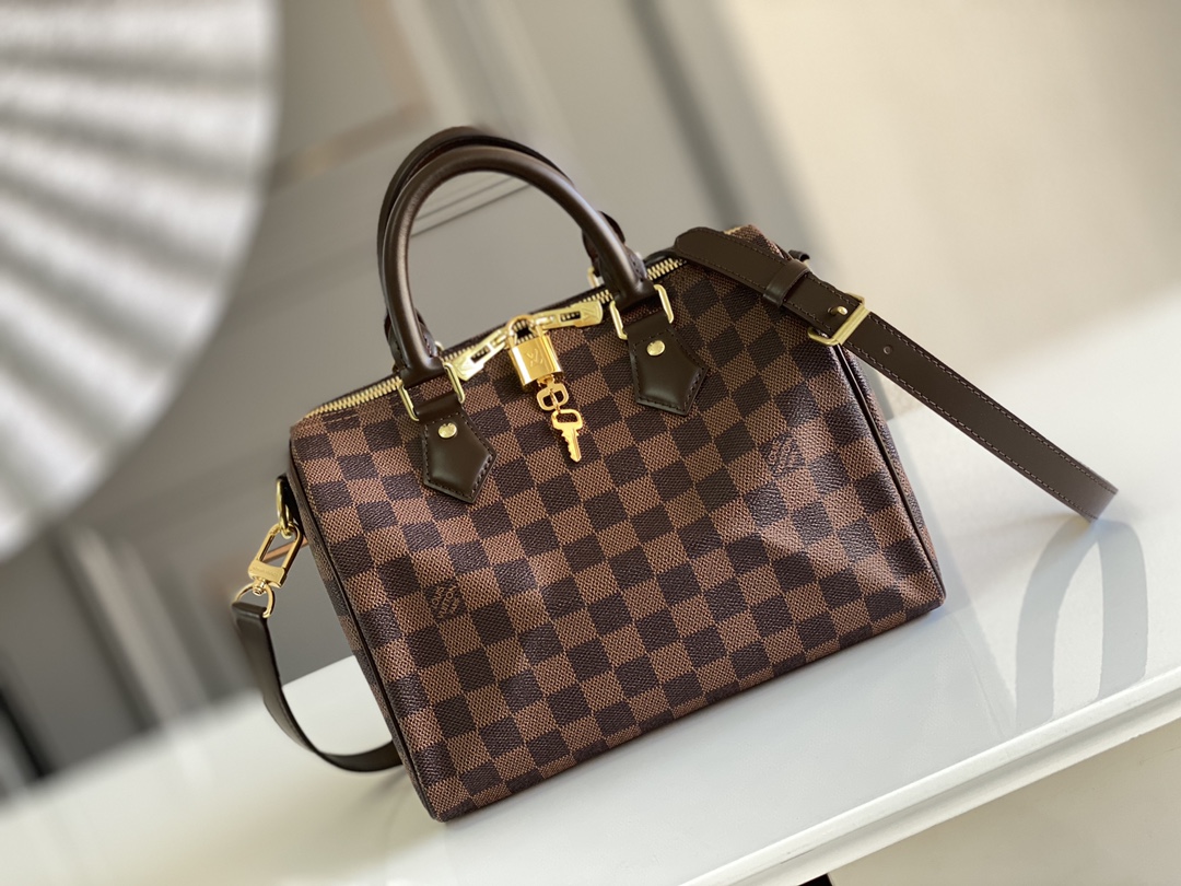 Louis Vuitton LV Speedy Bags Handbags Gold Yellow Damier Ebene Canvas Fabric