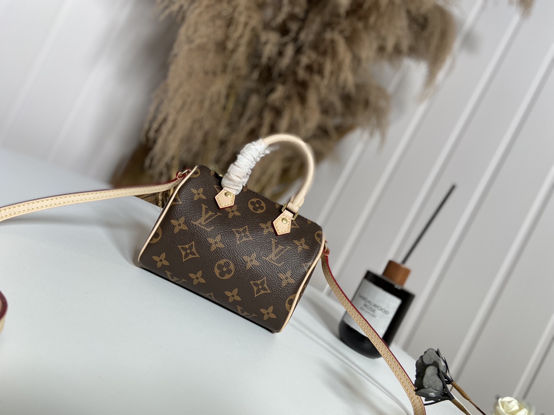 Louis Vuitton LV Speedy Bags Handbags Monogram Canvas Mini M61252