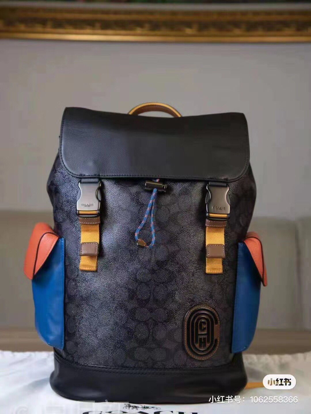 Coach COACH蔻驰5091/89080/961/79036/69291/40344 黑色 男士老花帆布双肩背包男士双肩包