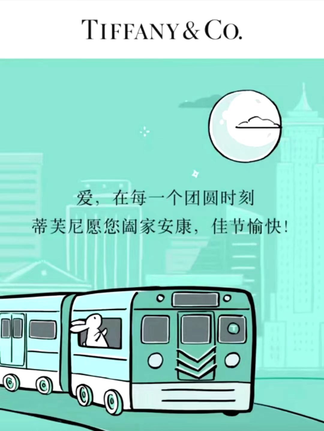 Tiffany & Co. 两件 配一套Tiffany 原盒 包邮