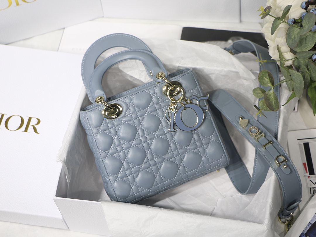 Dior Bags Handbags Lambskin Sheepskin Lady