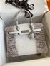 Hermes Birkin Bags Handbags Silver Hardware